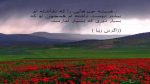 دانلود آهنگ قربون اون نگاهت صورت مثل ماهت با صدای زن